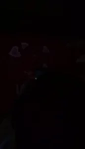 欧美人与性动交CCOO